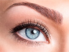 Eyebrow